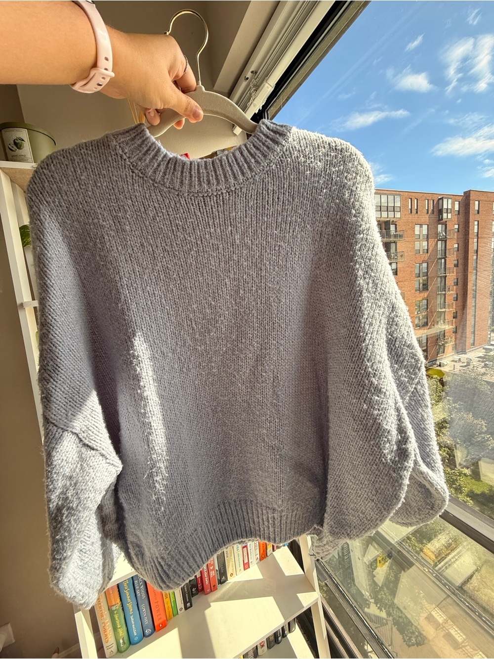 Pink Rose Pale Blue Cozy Crewneck Sweater